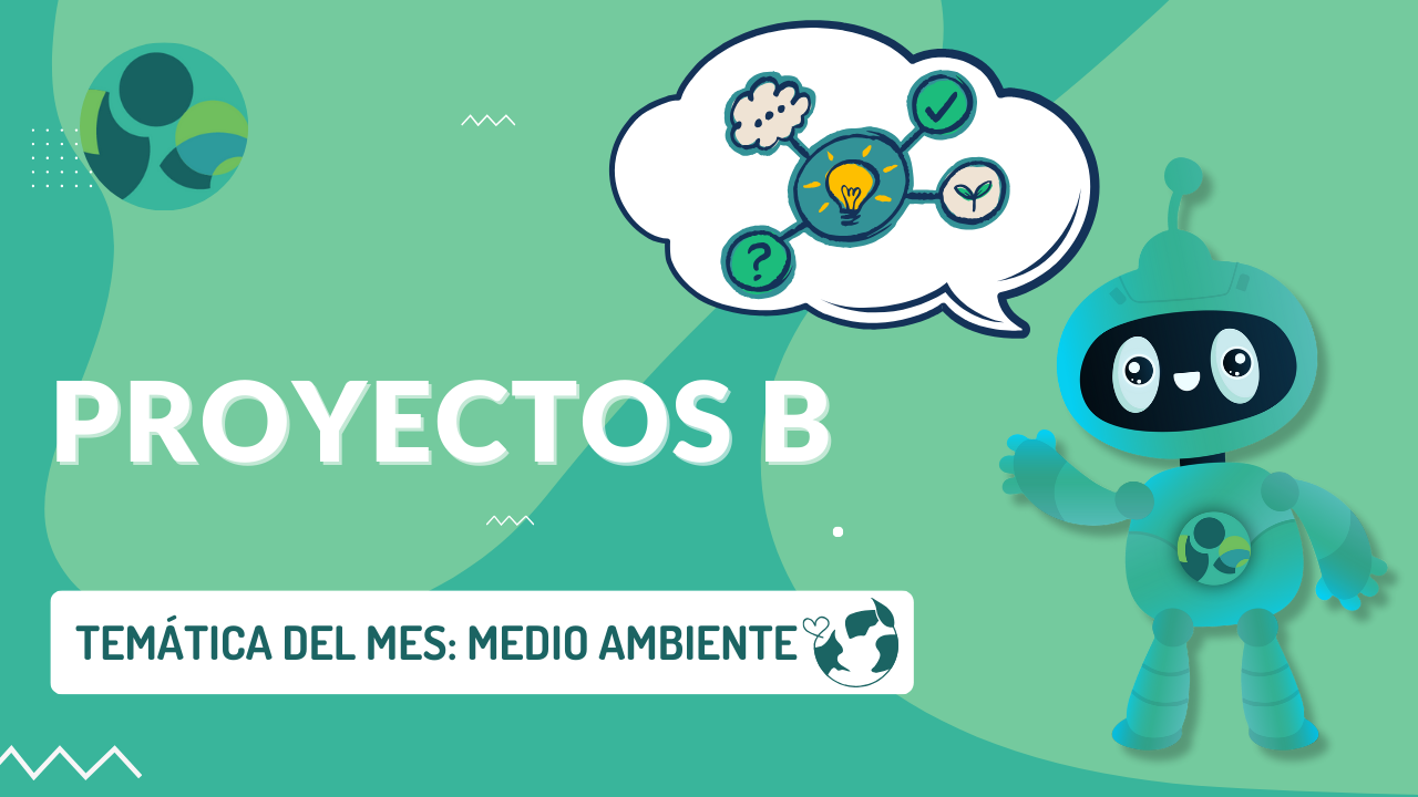 Proyectos B beyond